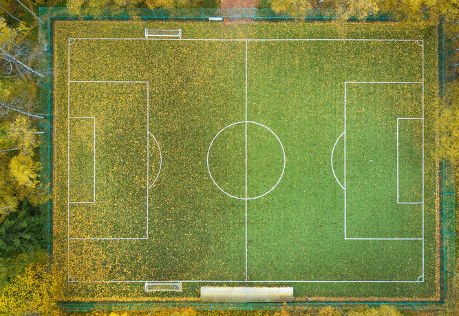 image paysage de l'article positive football sur la déforestation